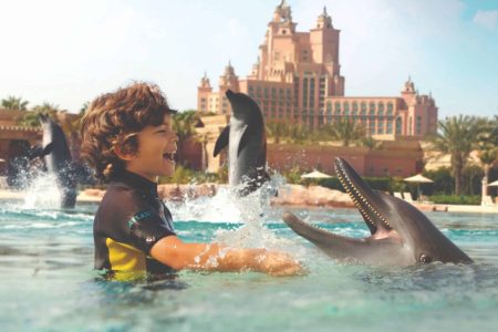 Dolphin Bay - Yala Travels