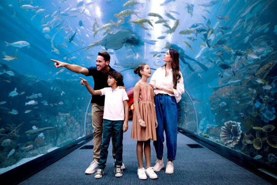 Dubai Aquarium Tickets